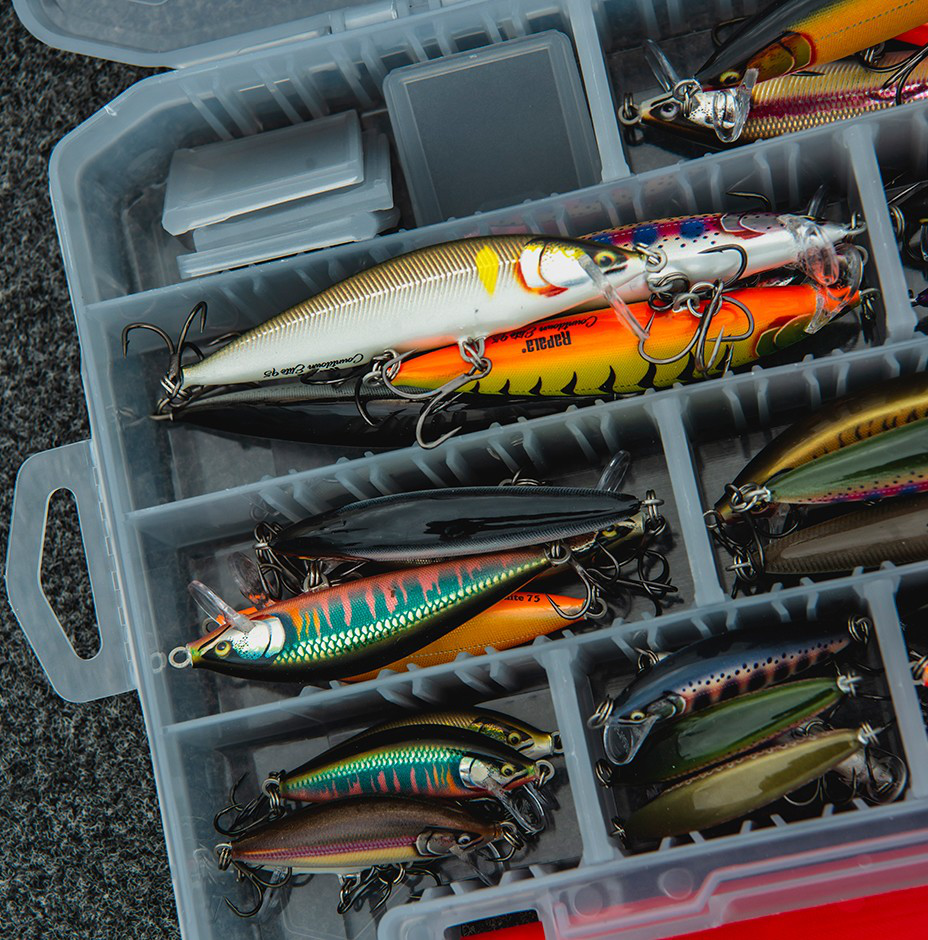 Rapala Countdown Elite ルアー 24個セット Countdown® Elite | Rapala