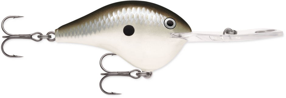 DTMSS 20 Pearl Grey Shiner