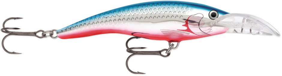 SCATTER RAP TAIL DANCER 09 Blue Flash Blue Flash