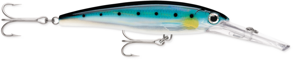 X-Rap Magnum 20 Blue Sardine