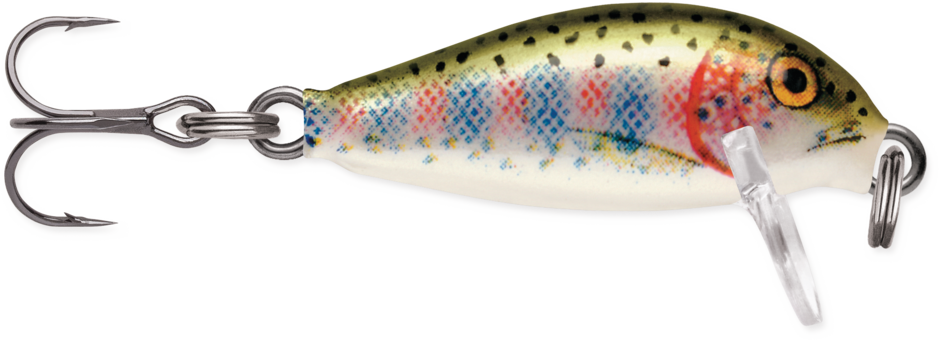 Countdown 01 Rainbow Trout