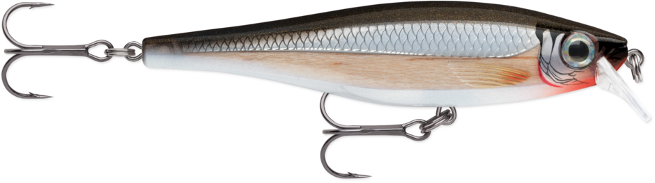 BX® Minnow | Rapala