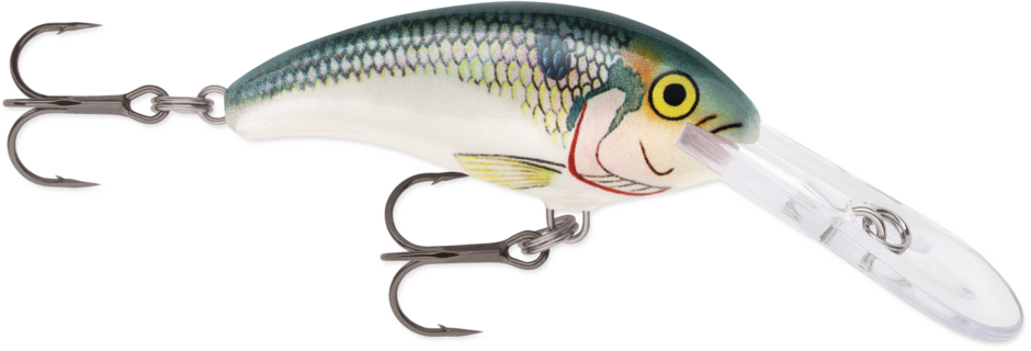 Shad Dancer 04 Shad