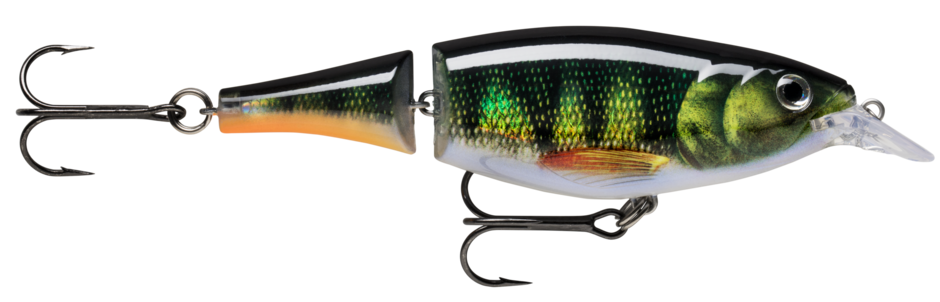 X-RAP JOINTED SHAD 13 Live Perch