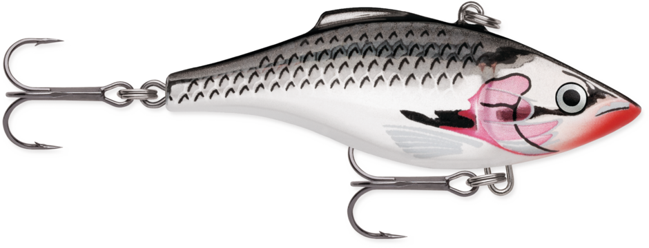 Rattlin' Rap 08 Silver