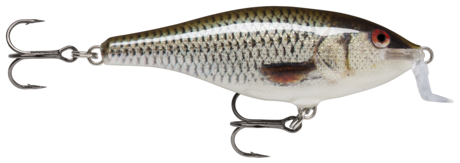 SHALLOW SHAD RAP 09 Live Roach