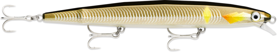 Flash-X Extremo FXEX16 AYUL