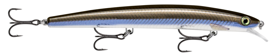 MAXRAP 15 Live Lanzon