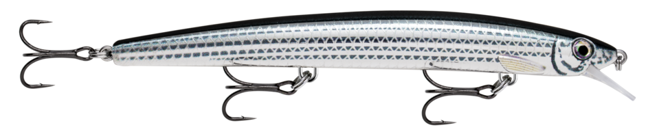 MAXRAP 13 Live Mullet