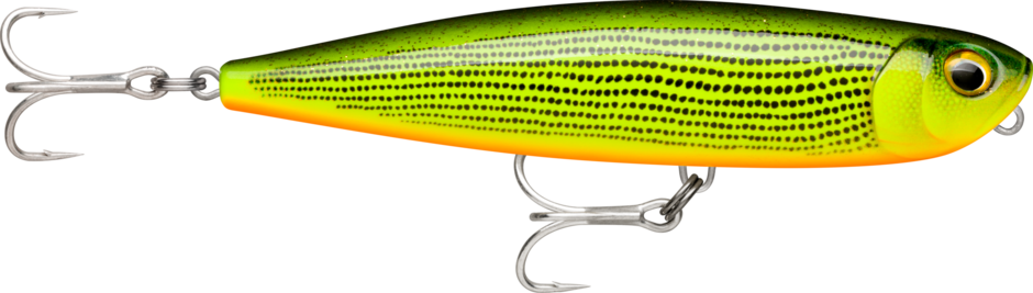 Rapala® Precision Xtreme Pencil Exo | Rapala® International