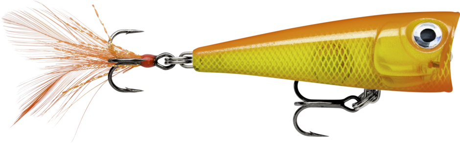 X-Light Pop FNP04 GFR