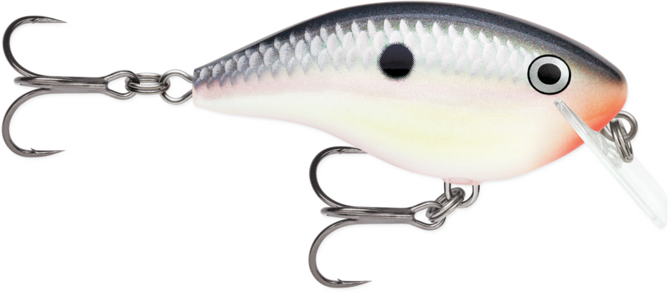 OTT´S GARAGE BIG ROCCO 06 Tuxedo Shad