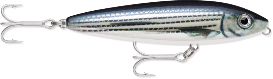 Saltwater Skitter Walk 11 Mullet