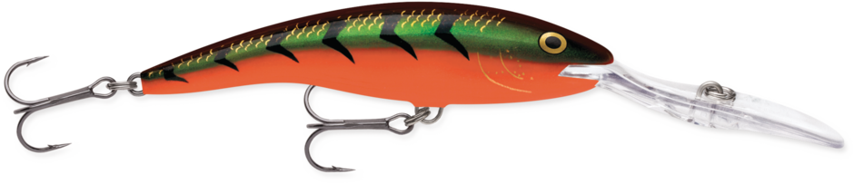 DEEP TAIL DANCER 13 Red Tiger