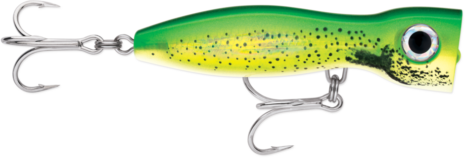 X-Rap Magnum Xplode 170 Dorado