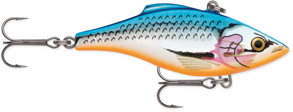 Rattlin' Rap 07 Silver Blue