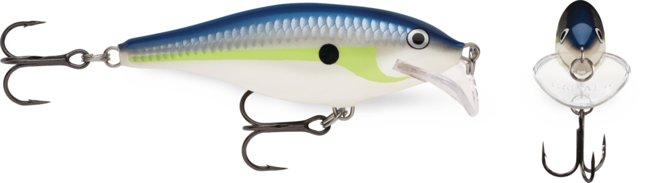 Scatter Rap Shad 07 Helsinki Shad
