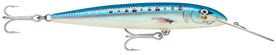 COUNTDOWN MAGNUM 18 Blue Sardine