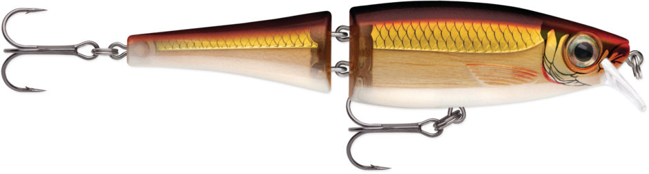 BX Swimmer 12 Gold Shiner