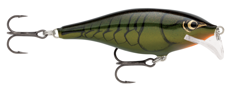 SCATTER RAP SHAD 07 Mardi Gras