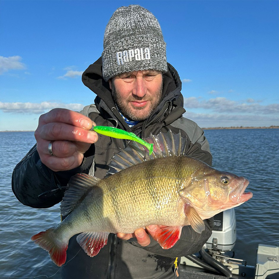 The Kickman CCKICKNE4 LCH