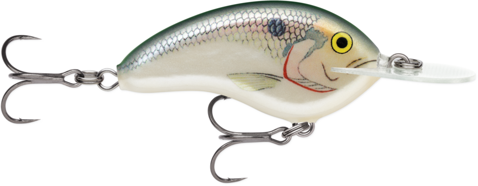 Ott's Garage Deep Tiny 07 Shad