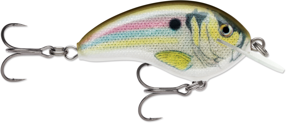 Ott's Garage Tiny 04 Live River Shad