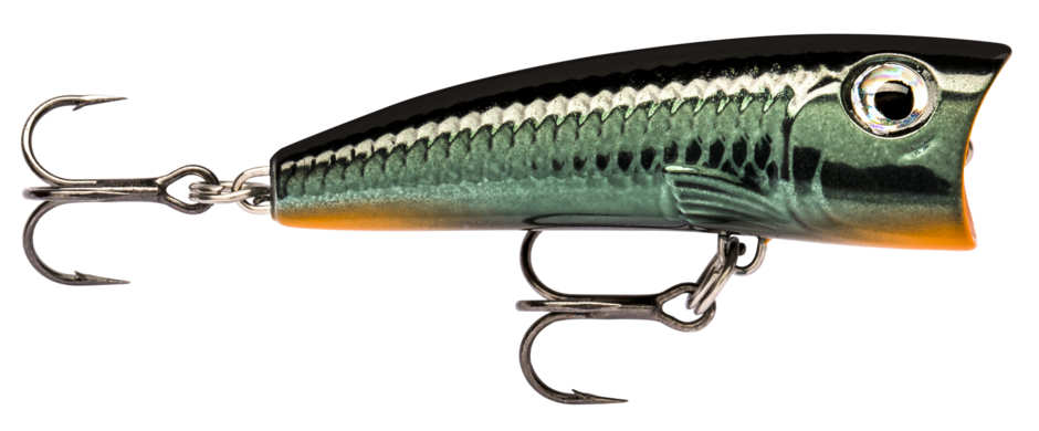 ULTRA LIGHT POP 04 Carbon