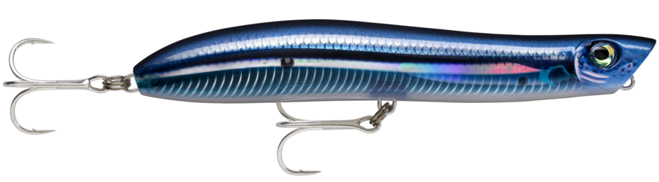 MAXRAP WALK' N ROLL 13 Blue Smelt