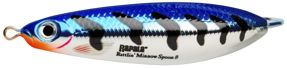 RATTLIN' MINNOW SPOON 08 Metallic Blue Tiger