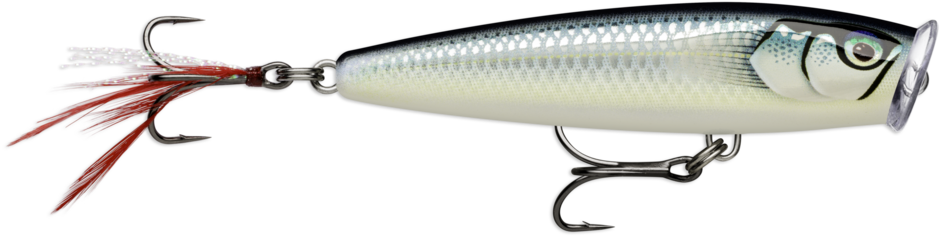 Skitter Pop Elite SPE75 GDBAP