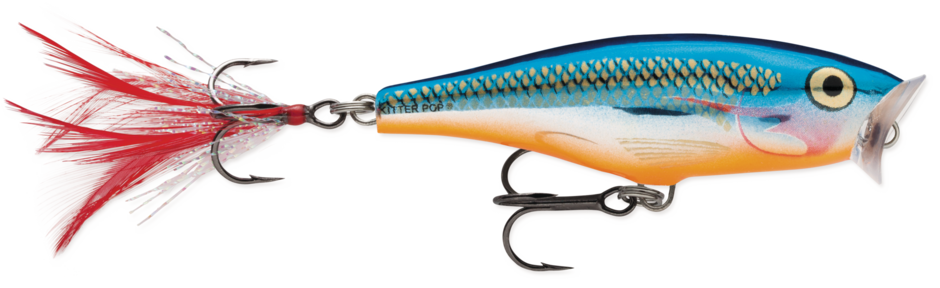 Rapala Skitter Pop SP07 – Leurre Flottant Topwater 7g, 70 Mm, Silencieux