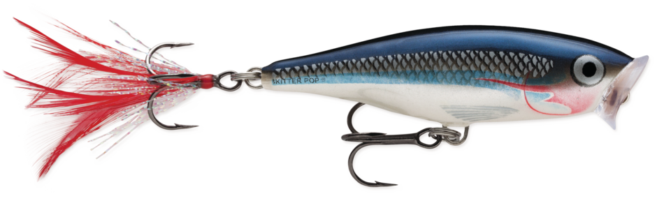 Skitter Pop 07 Shad