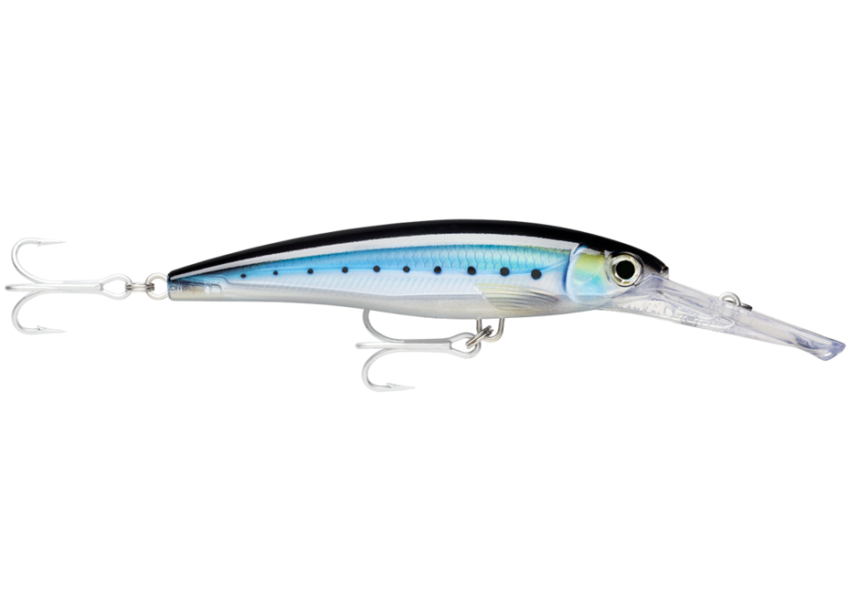 X-RAP MAGNUM 20 HD Blue Sardine