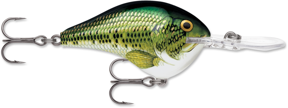 Dives-To 08 Baby Bass