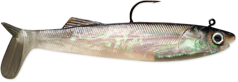 WILDEYE LIVE SALTWATER ANCHOVY 05 Anchovy