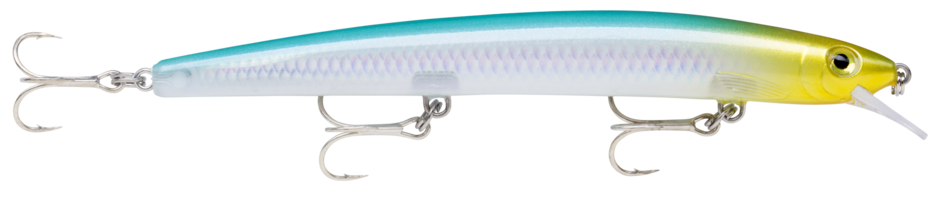 MAXRAP 11 Blue Back Herring