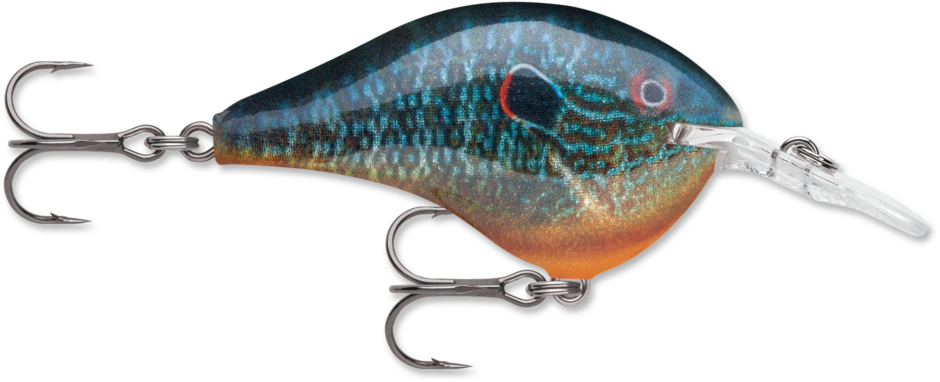 DT 06 Live Pumpkinseed