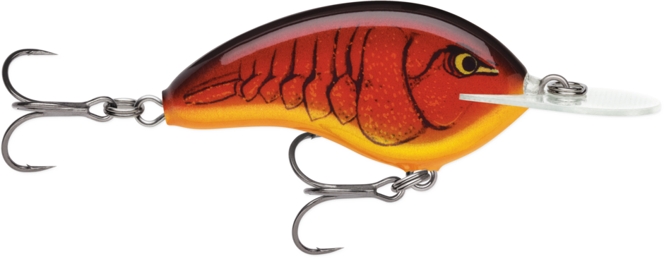 鯉太郎@lownslow d09df42cacdaa0_638ccphtvd1k385