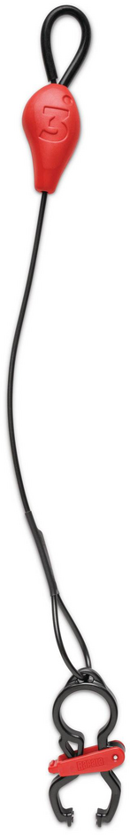 d1d59fc374d400_turjd5ei1h17jbtv9cnuutvh29.png