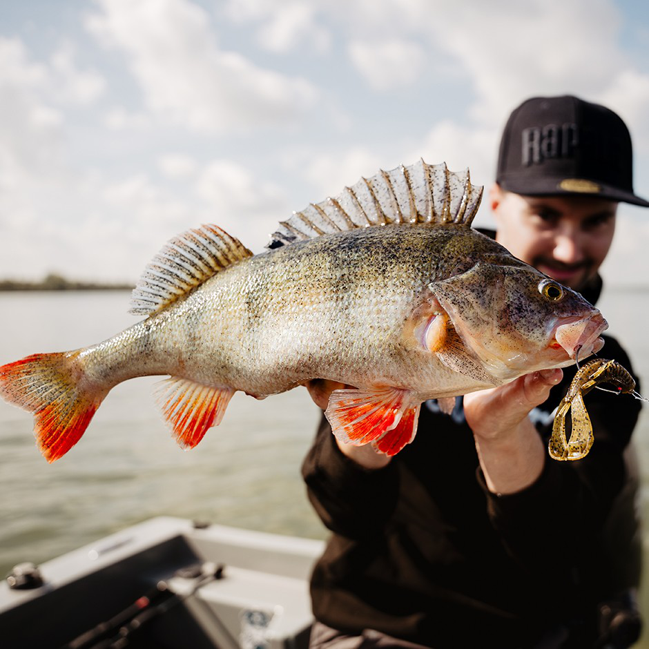 Cleanup Craw NE CCCLCNE35 BBG