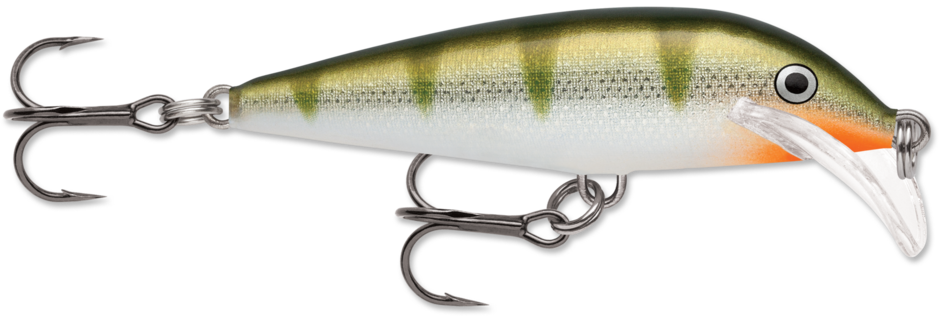 Scatter Rap Countdown 07 Yellow Perch