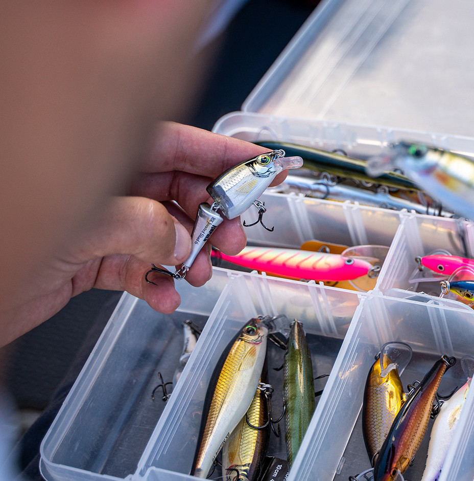 BX® Jointed Shad | Rapala