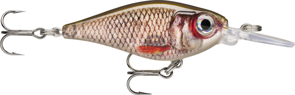 X-Light Shad 04 Live Roach