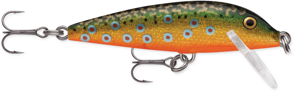 COUNTDOWN 07 Brook Trout Brook Trout