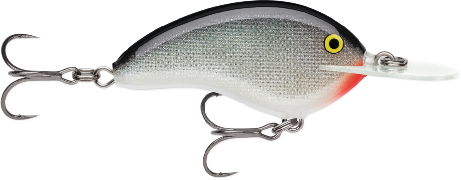 鯉太郎@lownslow Low & Slow | Sault Sainte Marie ON