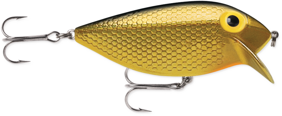 THIN FIN 06 Metallic Gold Black