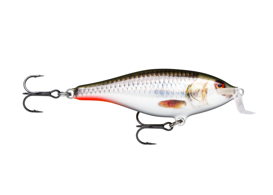 SHALLOW SHAD RAP 09 Live Hologram Roach