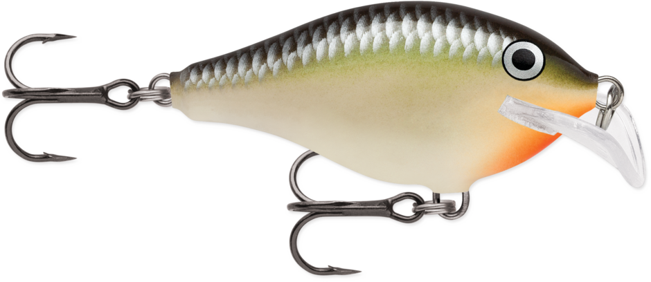 Scatter Rap Crank 05 Smash