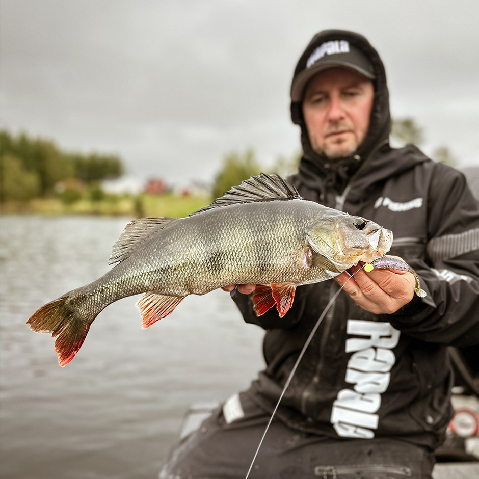 The Kickman CCKICKNE5 PBRP